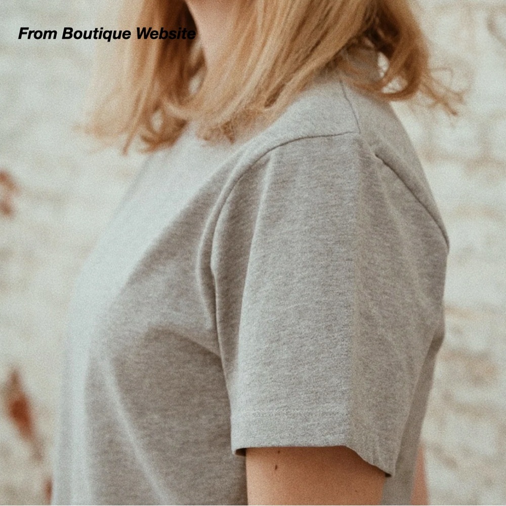 EUC: POUDRE ORGANIC CAMISETA T-SHIRT IN HEATHER GREY (XS)